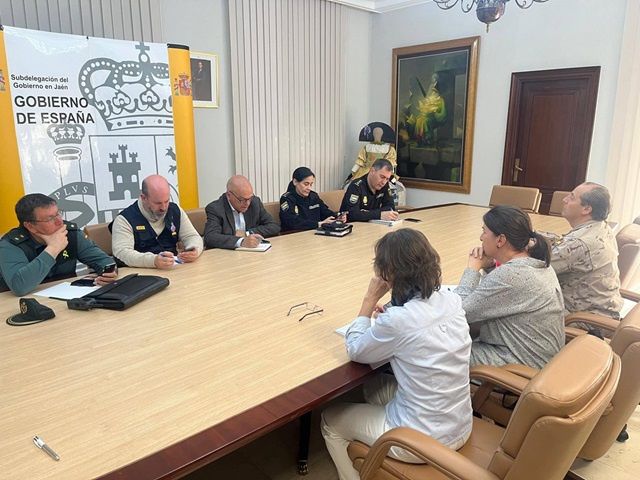 La provincia de Jaén, con "un nivel de suministro del 97,5%", no registra "incidencias de consideración" por el apagón