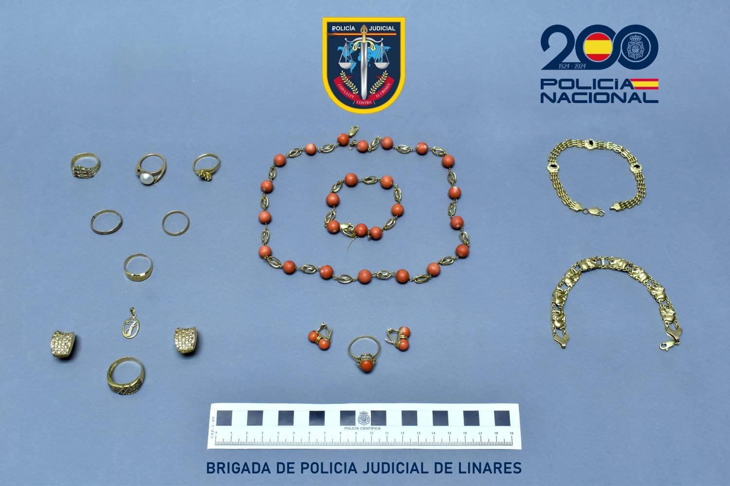 Imagen de La Policía Nacional detiene a una mujer, por  hurto de joyas, en el interior de un domicilio.